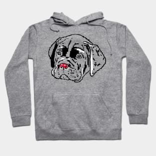 Dog Cane Corso white puppies on white background Hoodie